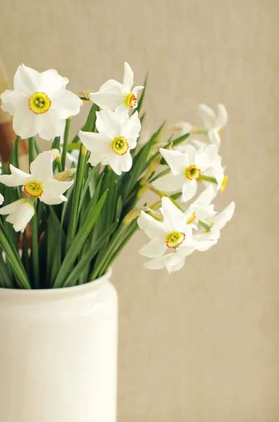 Narcissus flowers bouquet in the white vase in vintage style — Stock Photo, Image