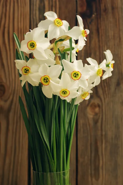 あなたの休日のためスイセンから春の花束 — ストック写真