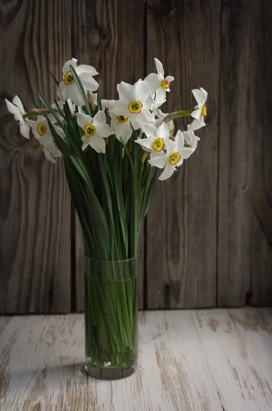 Ramo de primavera de narciso para sus vacaciones — Foto de Stock