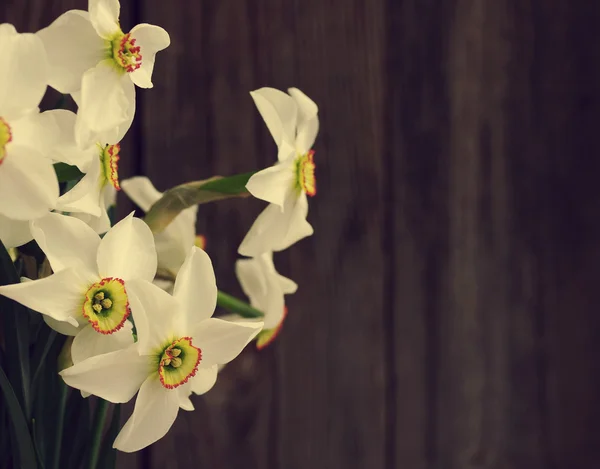 Narciso flores sobre un fondo de madera — Foto de Stock