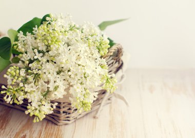 Bir ahşap yüzeyde bir sepette beyaz leylak buket. 