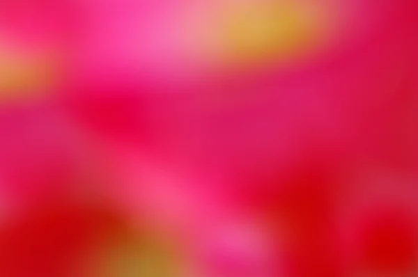 . Pink flower summer abstract background — Stock Photo, Image