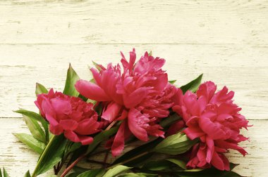 Pembe şakayık buketi yakın çekim 