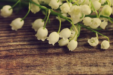 ahşap arka plan üzerinde vadideki zambak