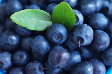 Berry bilberry arka plan