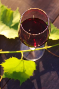 Bir ahşap yüzeye kadeh kırmızı şarap ve üzüm yaprakları