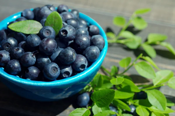 Meyveler olgun sulu bilberry bir mavi küçük tabak içinde — Stok fotoğraf