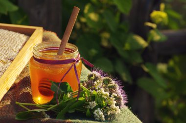 Bir cam kavanoz ve arı peteğin çiçekli melliferous otlar tatlım.