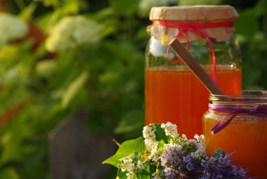 Tatlım bir cam kavanozlar ve arı çiçek melliferous otlar ile peteğin 