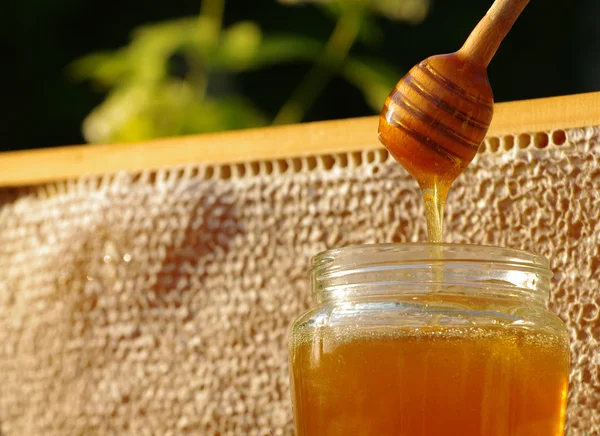 Miel en un frasco de vidrio y panales de abeja . —  Fotos de Stock