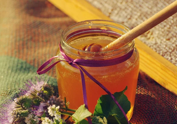 Miele in un vaso di vetro e favi d'api con fiori erbe mellifere . — Foto Stock