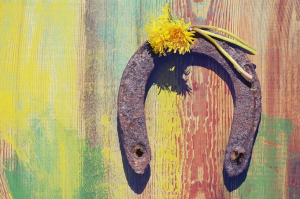 Gammal rostig hästsko och blommor av en maskros — Stockfoto