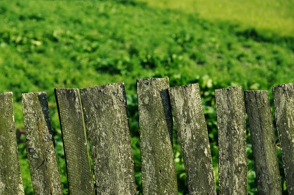 Old fence against a green field