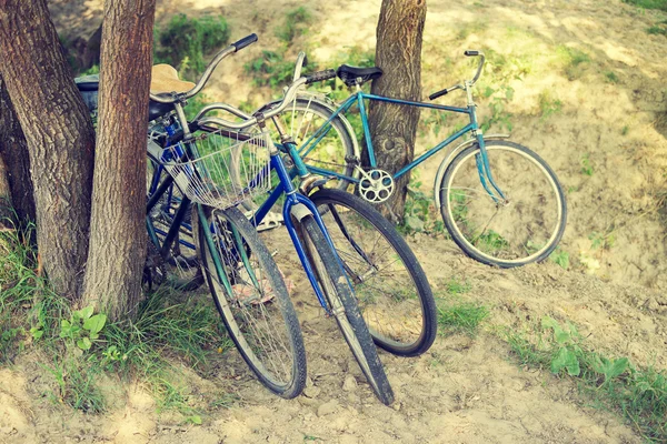 Quatre vieux vélos — Photo
