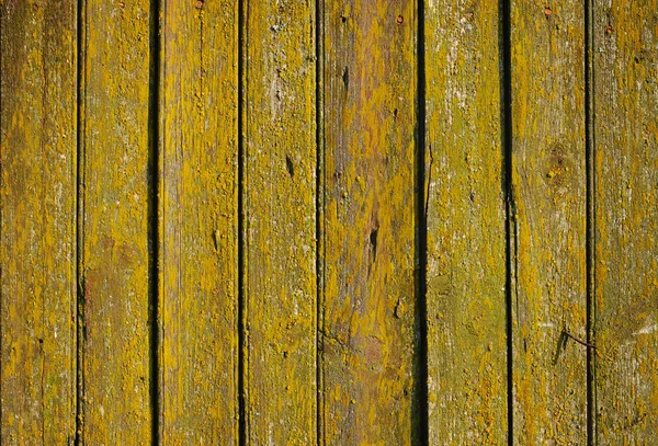 Jasny zielony i żółty drewniane ściany z desek z bliska. — Zdjęcie stockowe
