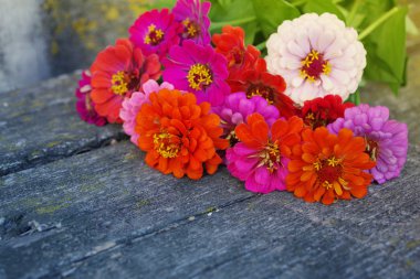 Eski bir ahşap yüzeyi parlak yaz çiçek. Yaz arka planını çiçekler.