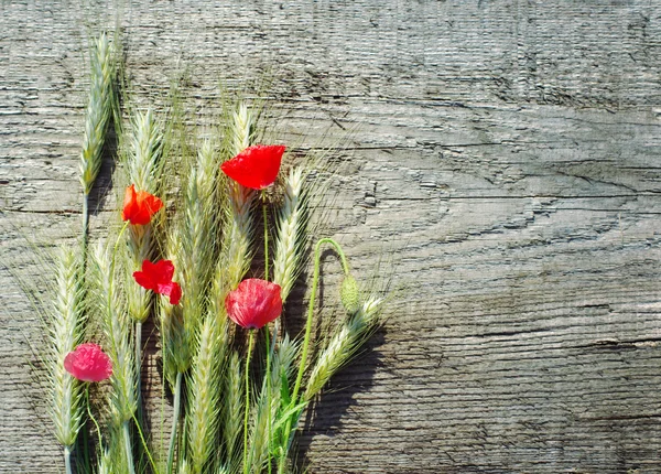 Conos de centeno y poppys rojos —  Fotos de Stock