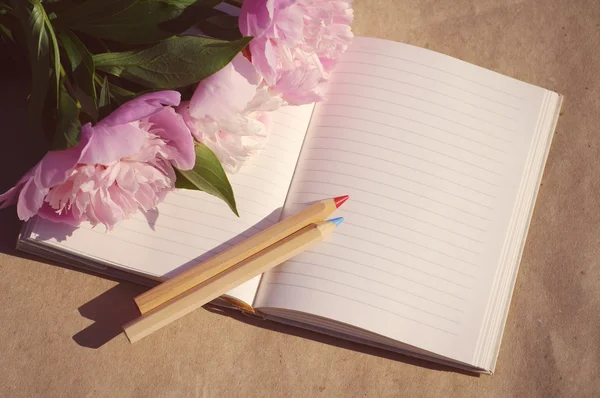 Strauß rosa Pfingstrosen auf einem offenen Notizbuch und zwei Holzstiften — Stockfoto