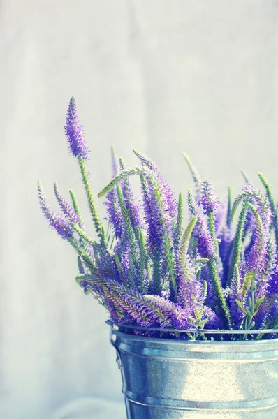 Bouquet of blue wild summer flowers in a metal bucket on a white background