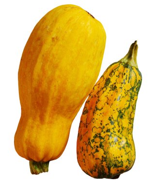 Taze sarı sebze iliği