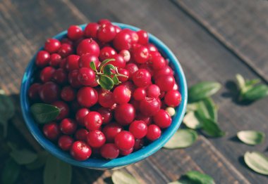 Sulu yabanmersini, kırmızı bilberries, parlak mavi kapta kızılcık 