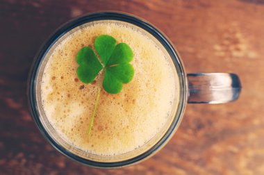 Bir bardak bira yüzen St Patricks Günü Yeşil yonca.