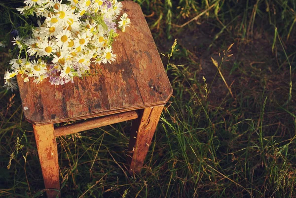 Букет полевых ромашки на старом деревянном стуле . — стоковое фото