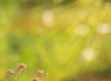 sarı-yeşil arka plan.