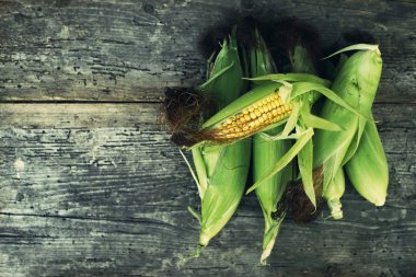Eski ahşap yüzey üzerinde taze mısır koçanı