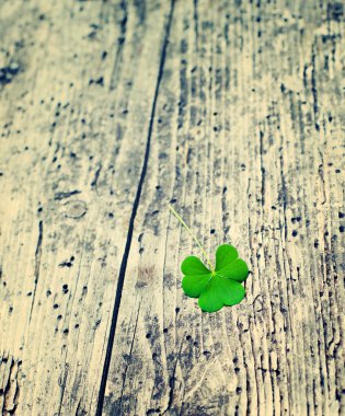Eski ahşap arka plan. St Patricks Günü yeşil yonca 