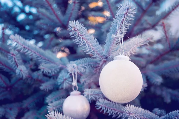 Bola Navidad Una Rama Árbol Navidad Primer Plano Enfoque Selectivo — Foto de Stock