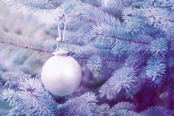 Bola Vidro Natal Ramo Árvore Natal Close Foco Seletivo Suave — Fotografia de Stock