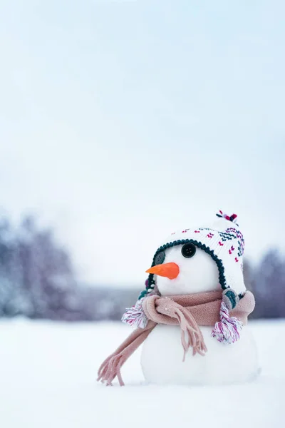Tarjeta Vacaciones Con Muñeco Nieve Pequeño Muñeco Nieve Lindo Sombrero —  Fotos de Stock