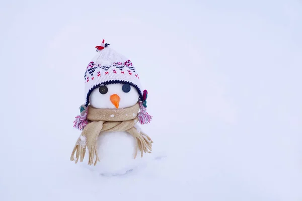 Kleiner Netter Schneemann Mit Hut Und Schal Mit Karottennase Auf — Stockfoto