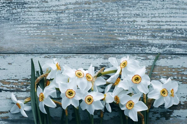 Slavnostní Kytice Bílých Narcisů Starém Modrém Dřevěném Povrchu Zblízka Horní — Stock fotografie