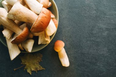 Beyaz orman mantarları (boletus edulis) bir tabakta koyu bir masa yüzeyinde, üst görünümde, boşluğu kopyala