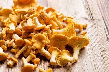 Taze chanterelle mantarları eski ahşap bir yüzeye yakın çekim, yakın çekim, yumuşak seçici odaklanma. Yaz mantar hasadı