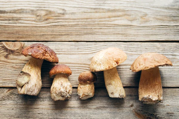 Beyaz orman mantarları (Boletus edulis) eski ahşap bir masa yüzeyinde, üst manzara. Sonbahar mantarı toplama