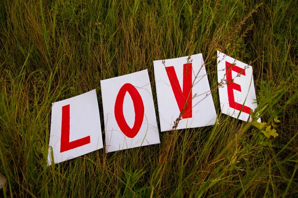 Scenery for a love story of "Love" on a green grass — Stock Photo, Image