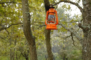 Turuncu yağ lambası