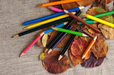 Sonbahar yaprakları üzerinde renkli kalemler