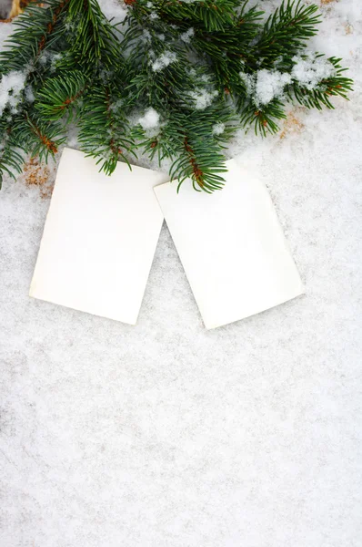 Two empty photographs of a branch were eaten on snow — Stock Photo, Image