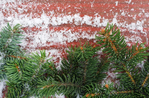 Las ramas se comían sobre un fondo rojo-marrón cubierto de nieve —  Fotos de Stock