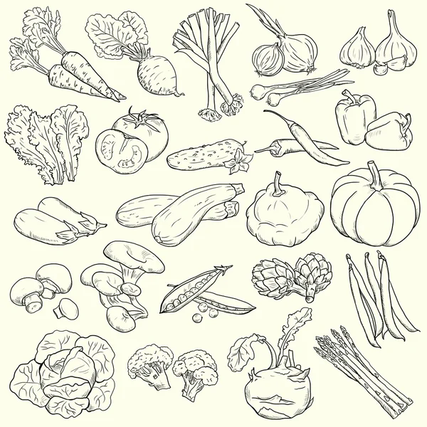 Vegetables - linear drawing – stockfoto