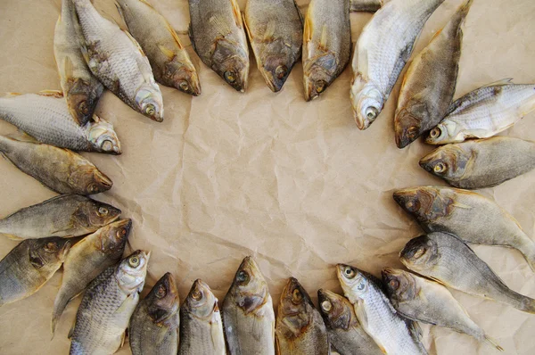 Pescado salado seco — Foto de Stock