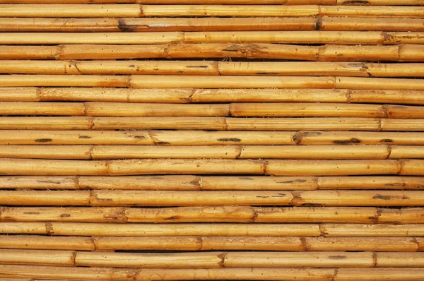 La pared amarilla natural del bambú. La pared de la textura del bambú —  Fotos de Stock
