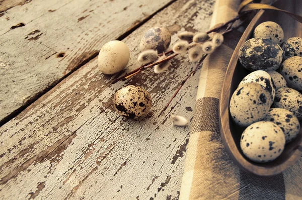 Vaktelägg med våren grenar av en pil på en brun servett — Stockfoto