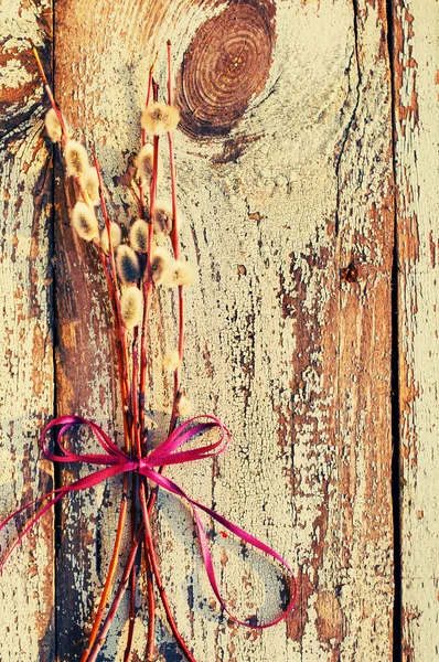 Willow branches on an old wooden textural background — Stock Photo, Image