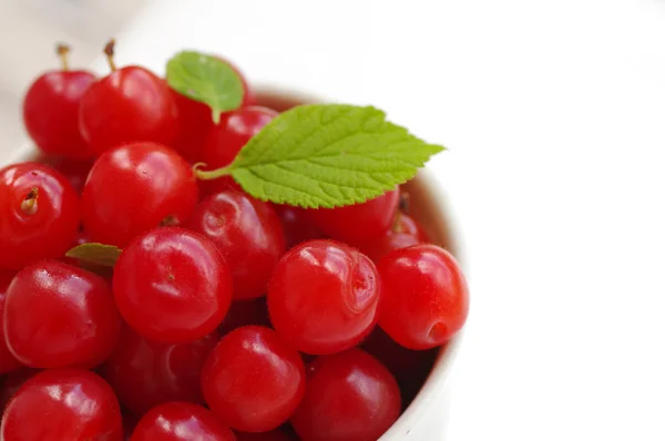 Fresh berries of the Chinese cherry — Stock Fotó