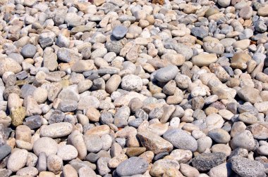 arka plandan deniz taşları